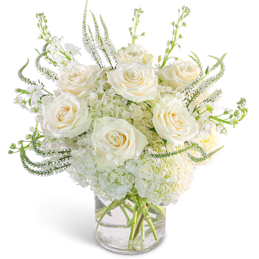 Chantilly Elegance