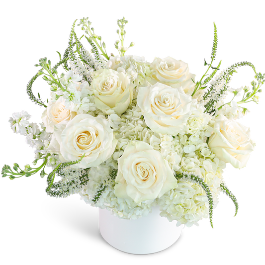 Chantilly Creme