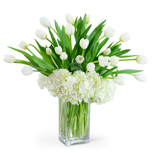White Elegance
