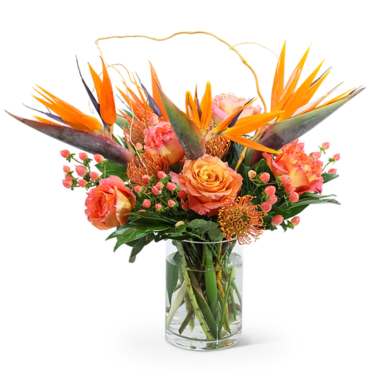 Spirit of the Tropics