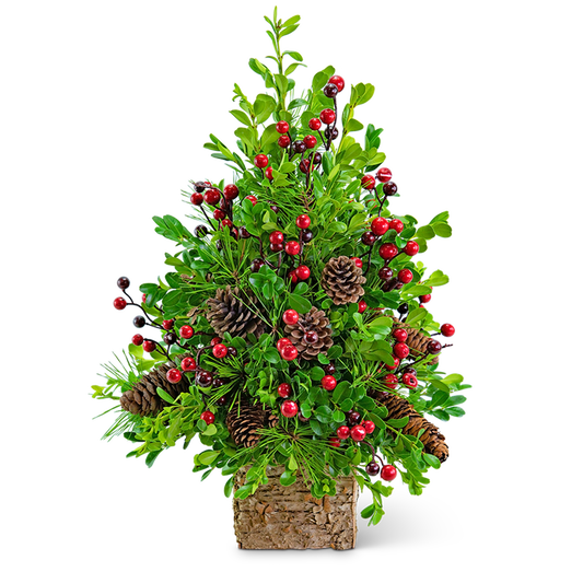 Adorned Boxwood Tree