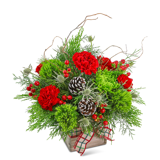 Festive Tidings