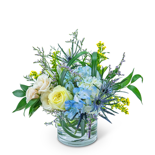 Wilde Blue