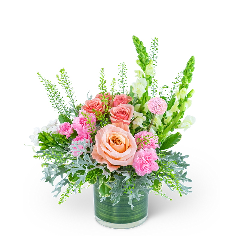 Rosy Coral Romance