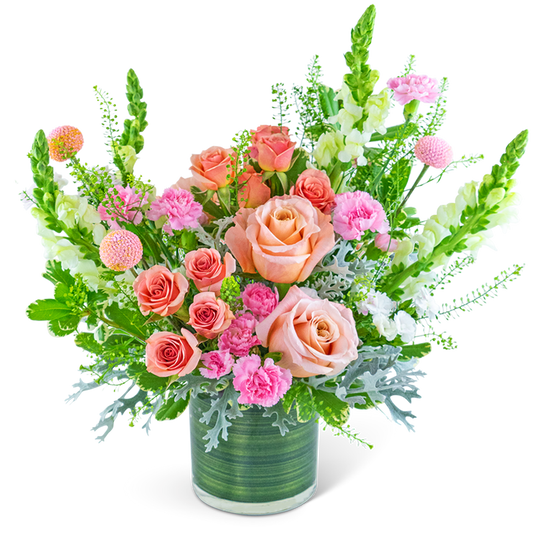 Rosy Coral Sundance