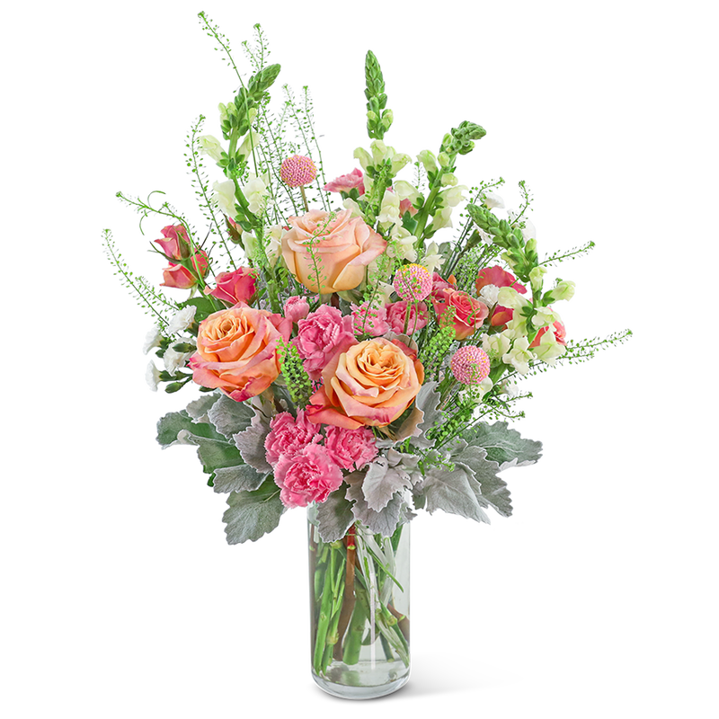 Rosy Coral Breeze