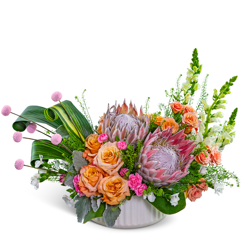 Prosecco Protea