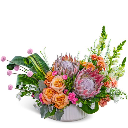 Prosecco Protea