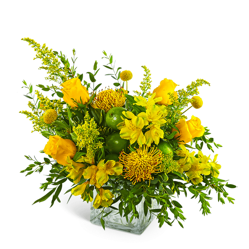Zest and Sunshine