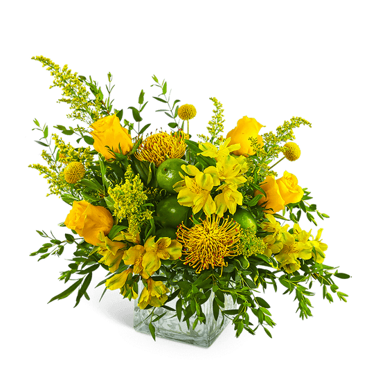Zest and Sunshine
