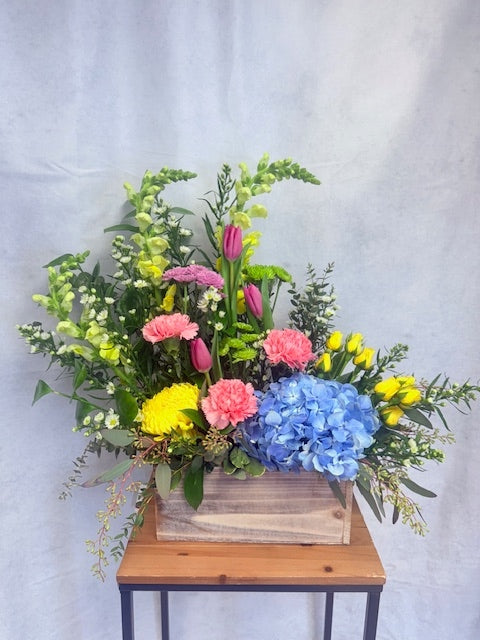 Springtime Symphony