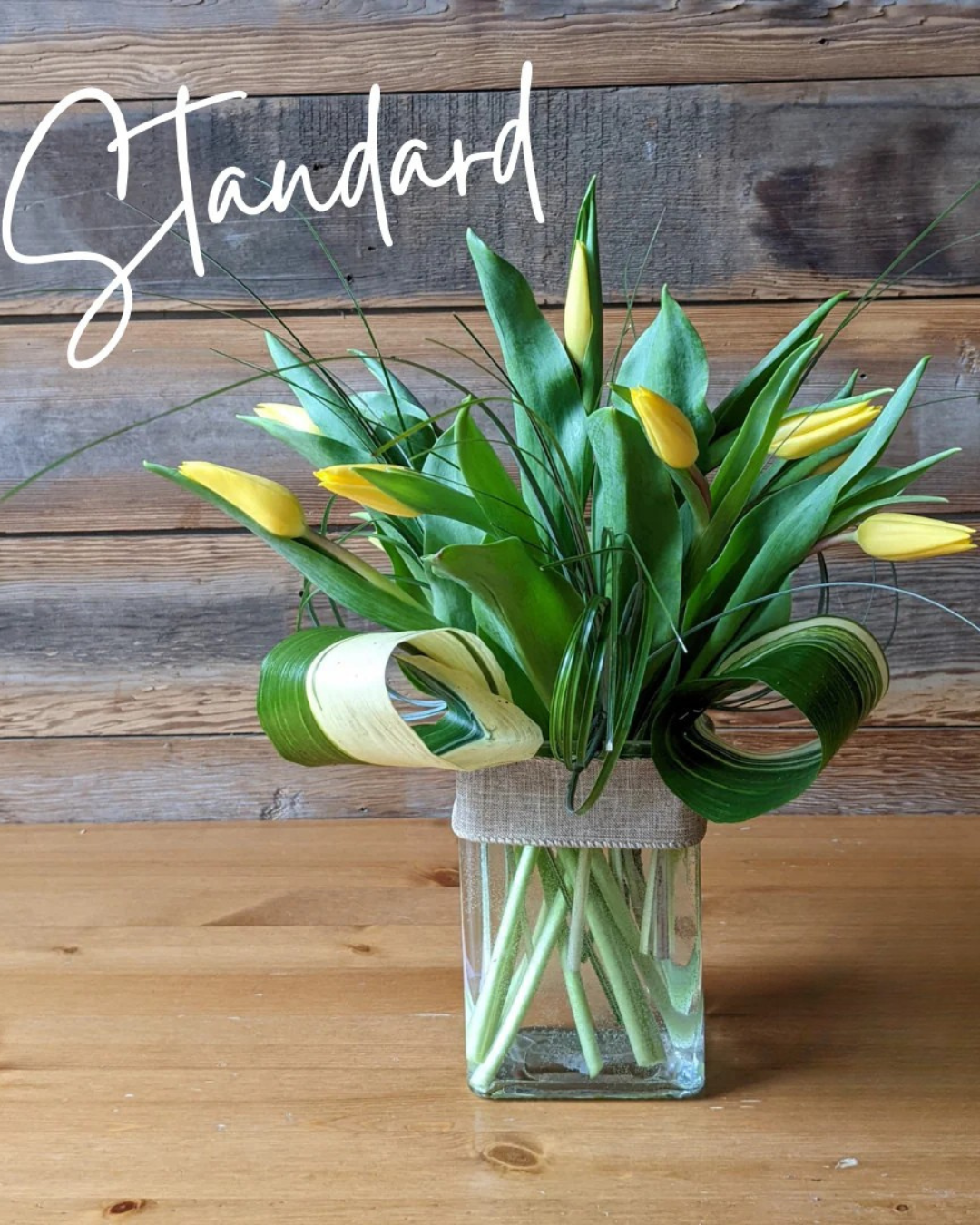 Tulips of Love